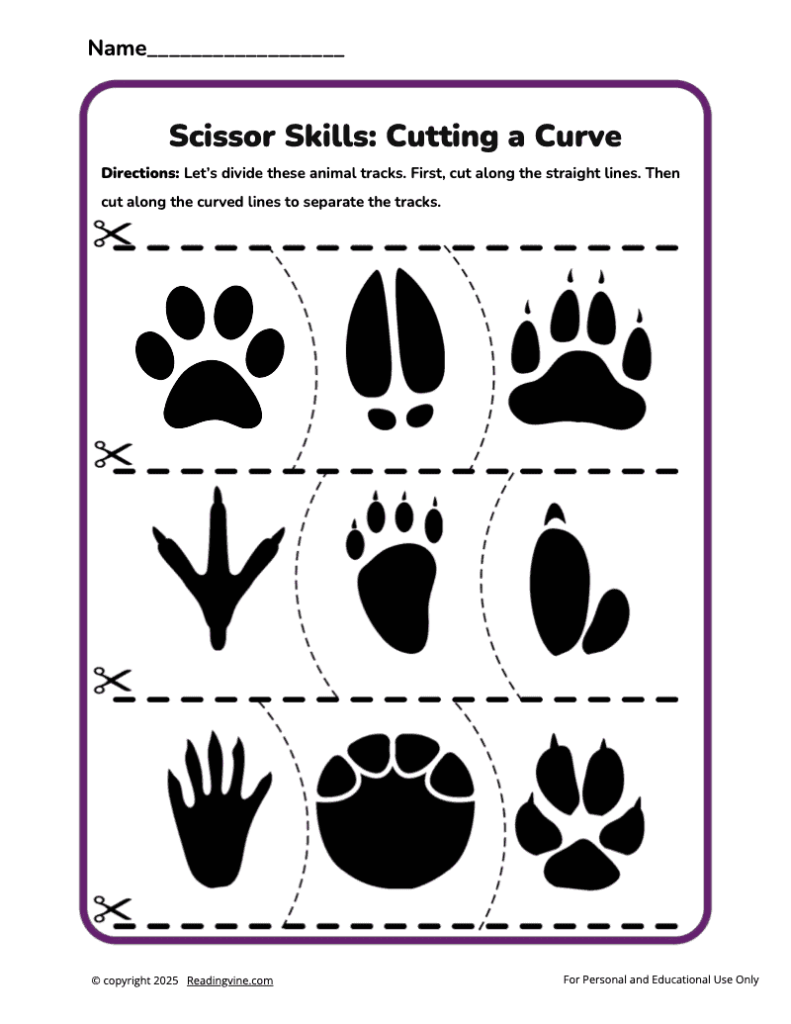 Cutting a Curve Scissor Skills