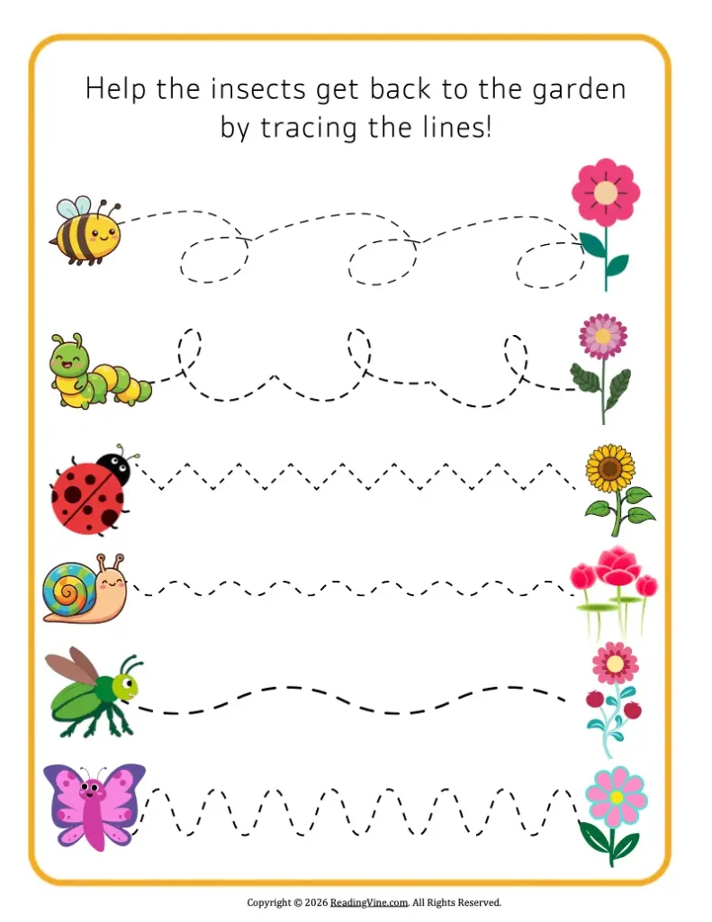 Trace the Lines from the Insect to the Flower