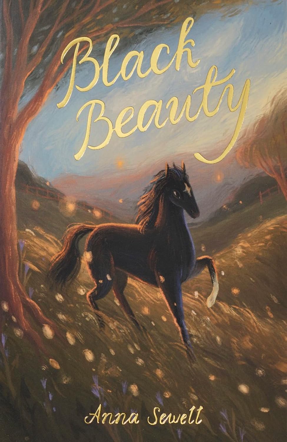 Black Beauty book cover