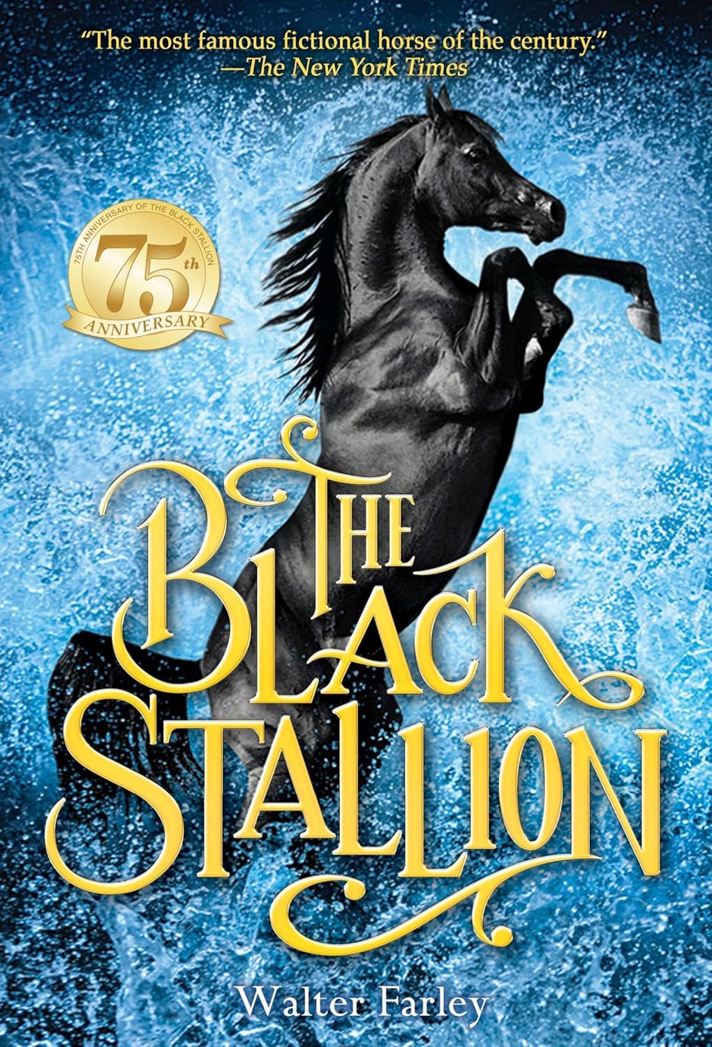 The Black Stallion book cover