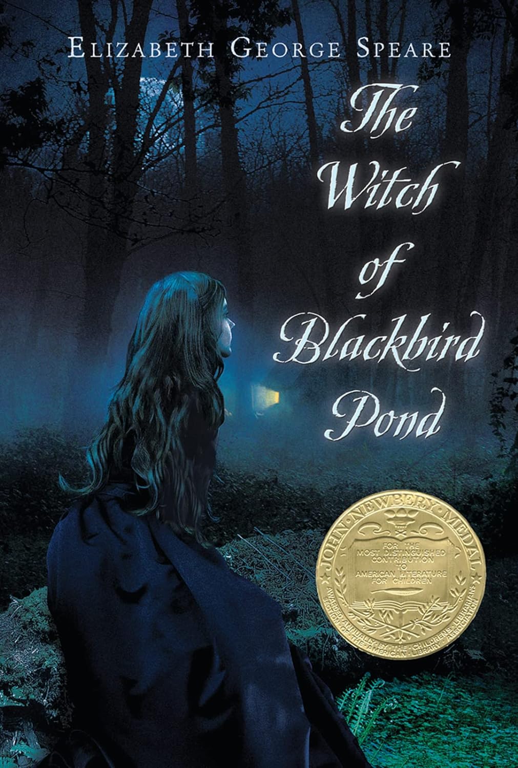 The Witch of Blackbird Pond Reading Level: A Complete Guide book cover