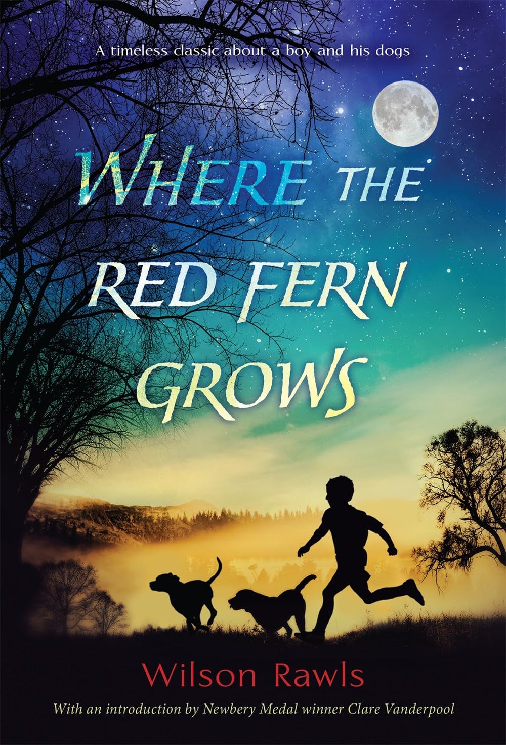 Where the Red Fern Grows Reading Level: A Complete Guide book cover