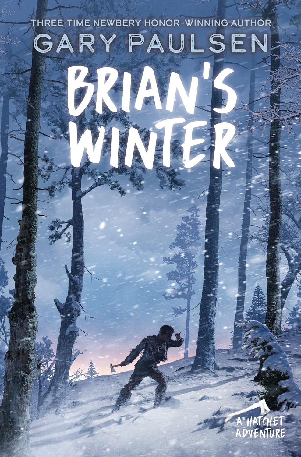 Brian's Winter book cover