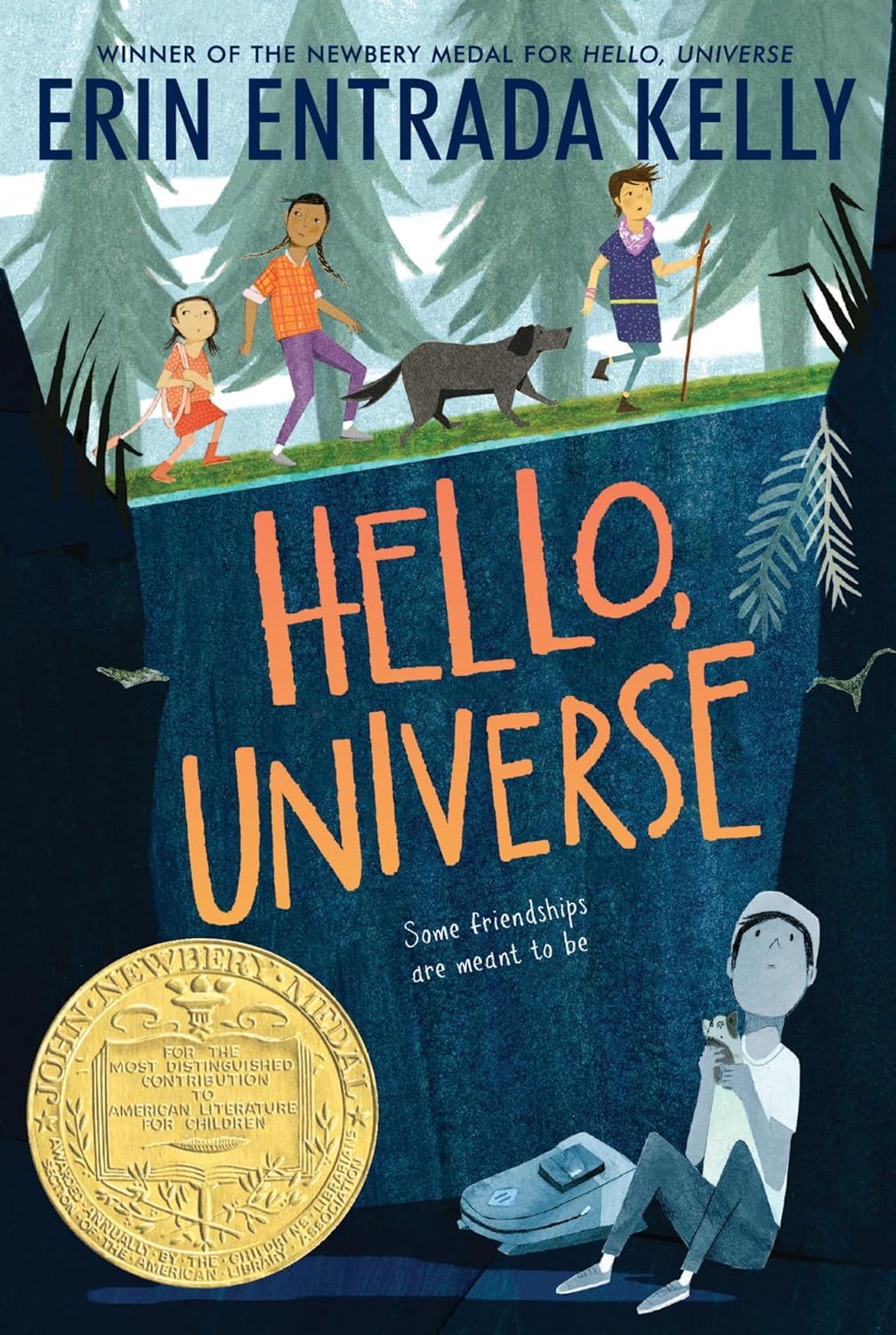 Hello, Universe book cover