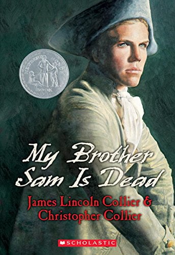 My Brother Sam Is Dead Reading Level: A Complete Guide book cover