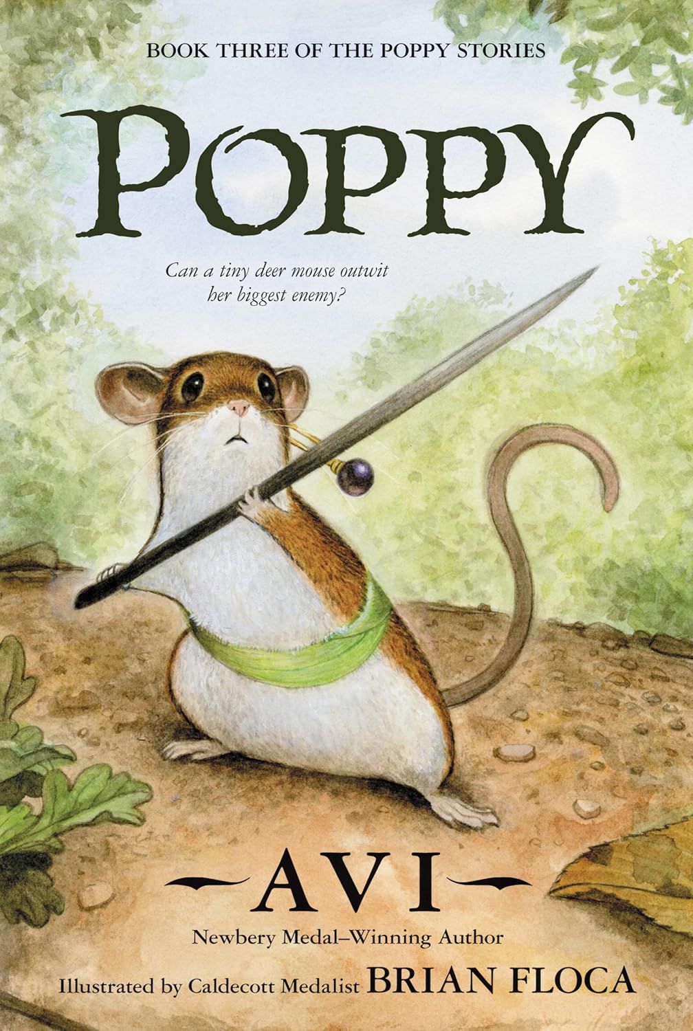 Poppy Reading Level: A Complete Guide book cover
