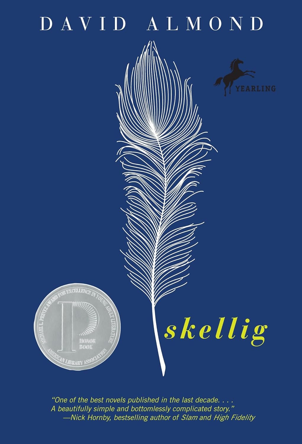 Skellig Reading Level: A Complete Guide book cover