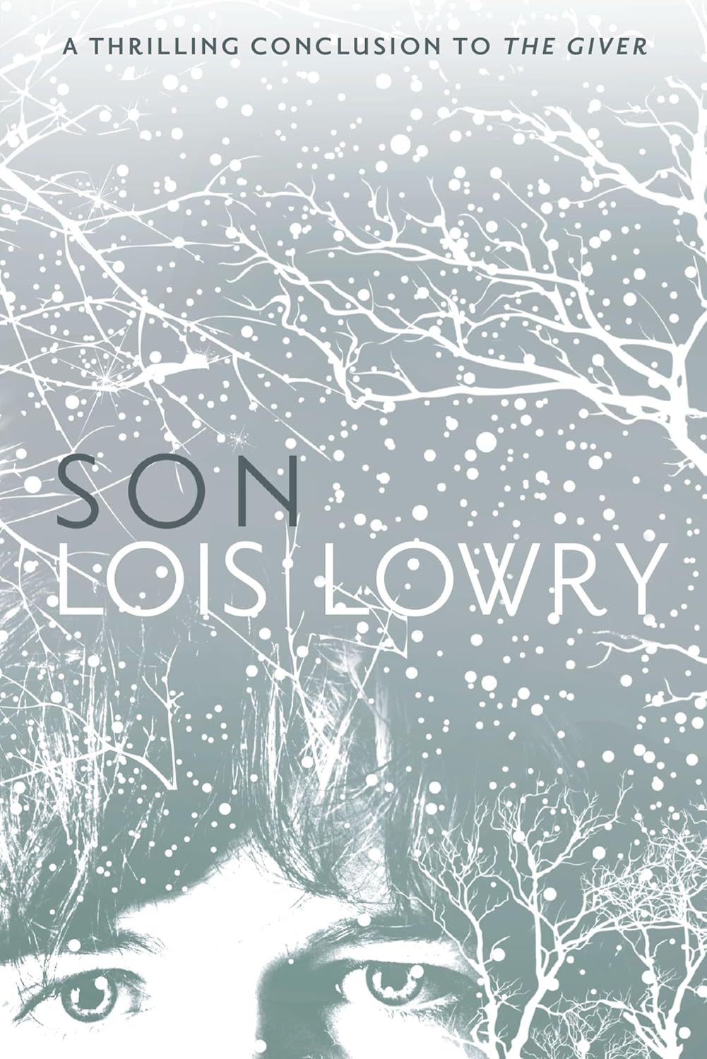 Son Reading Level: A Complete Guide book cover