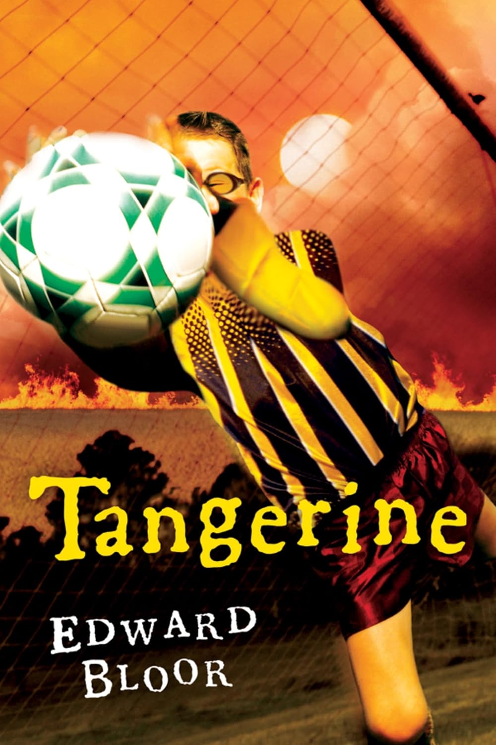 Tangerine Reading Level: A Complete Guide book cover