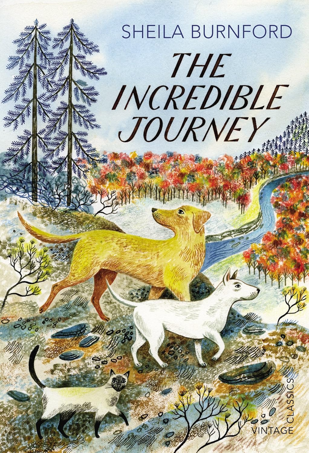 The Incredible Journey book cover