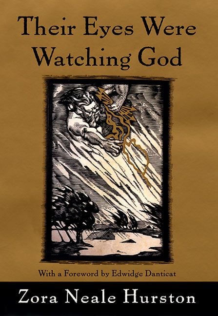 Their Eyes Were Watching God Reading Level: A Complete Guide book cover