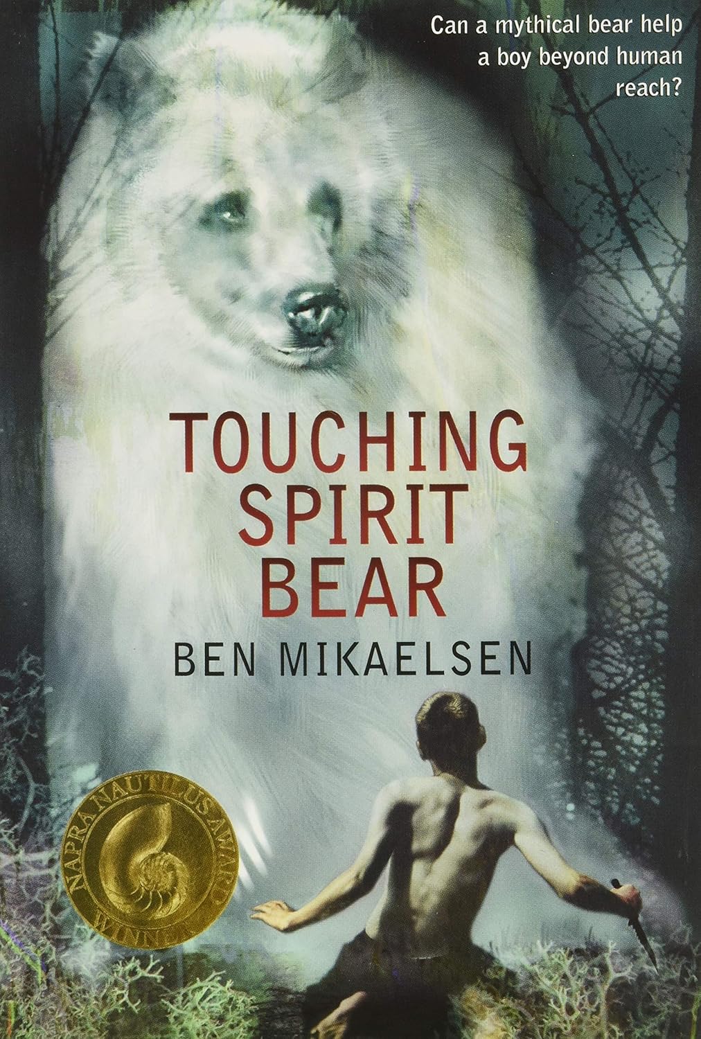 Touching Spirit Bear Reading Level: A Complete Guide book cover