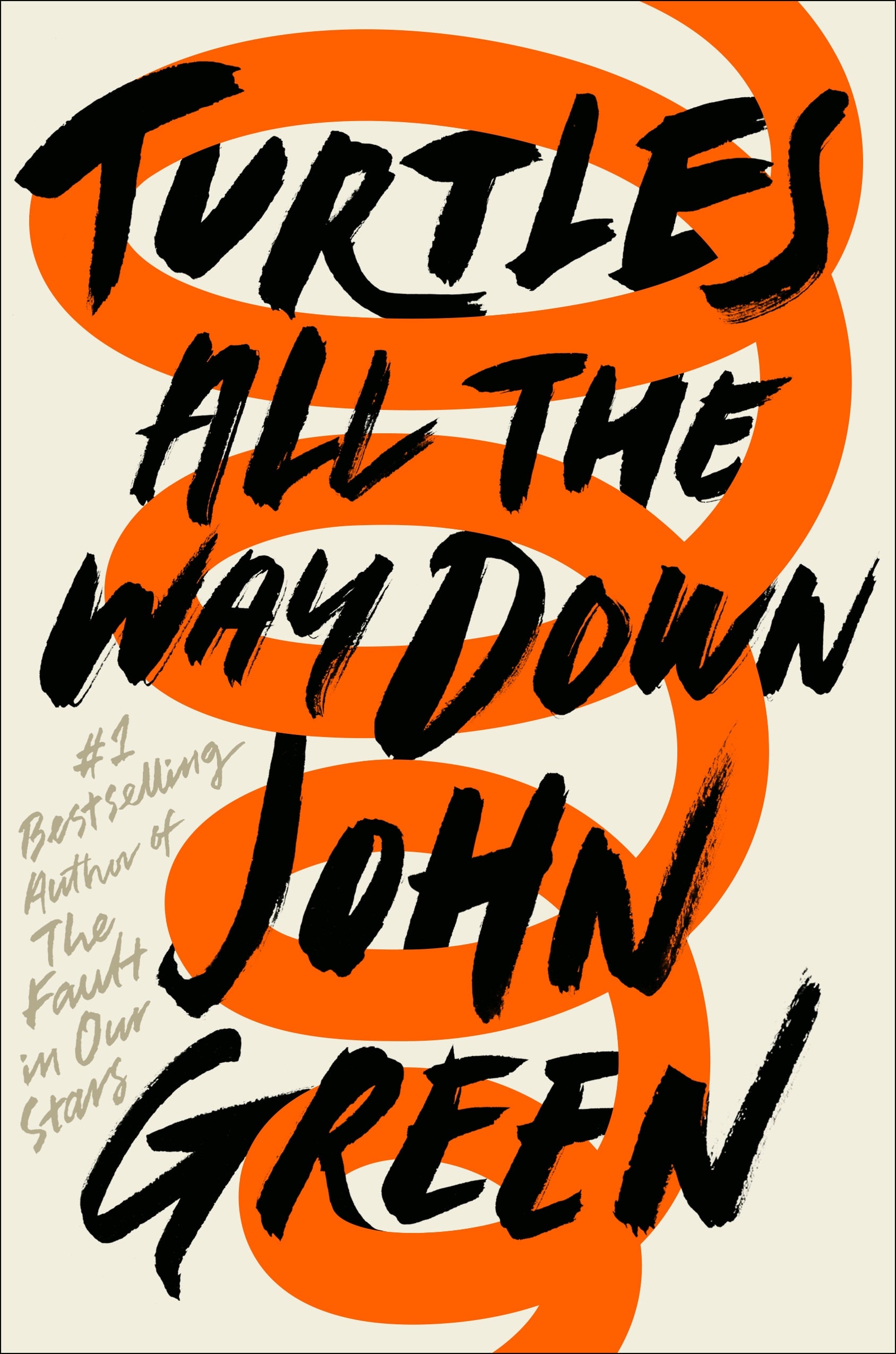 Turtles All the Way Down Reading Level: A Complete Guide book cover