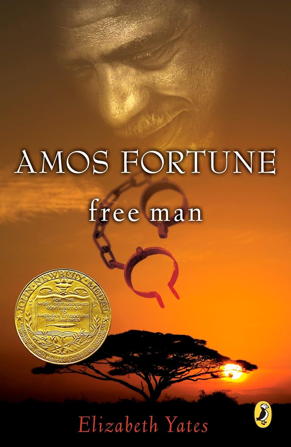 Amos Fortune, Free Man Reading Level: A Complete Guide book cover