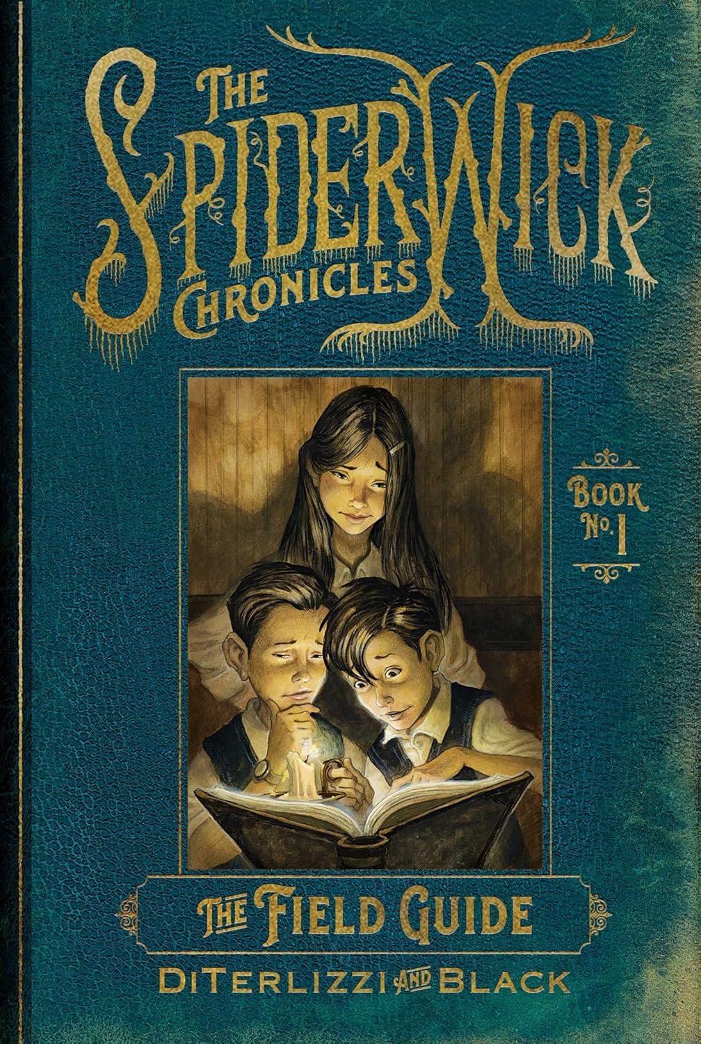 The Spiderwick Chronicles: The Field Guide Reading Level: A Complete Guide book cover