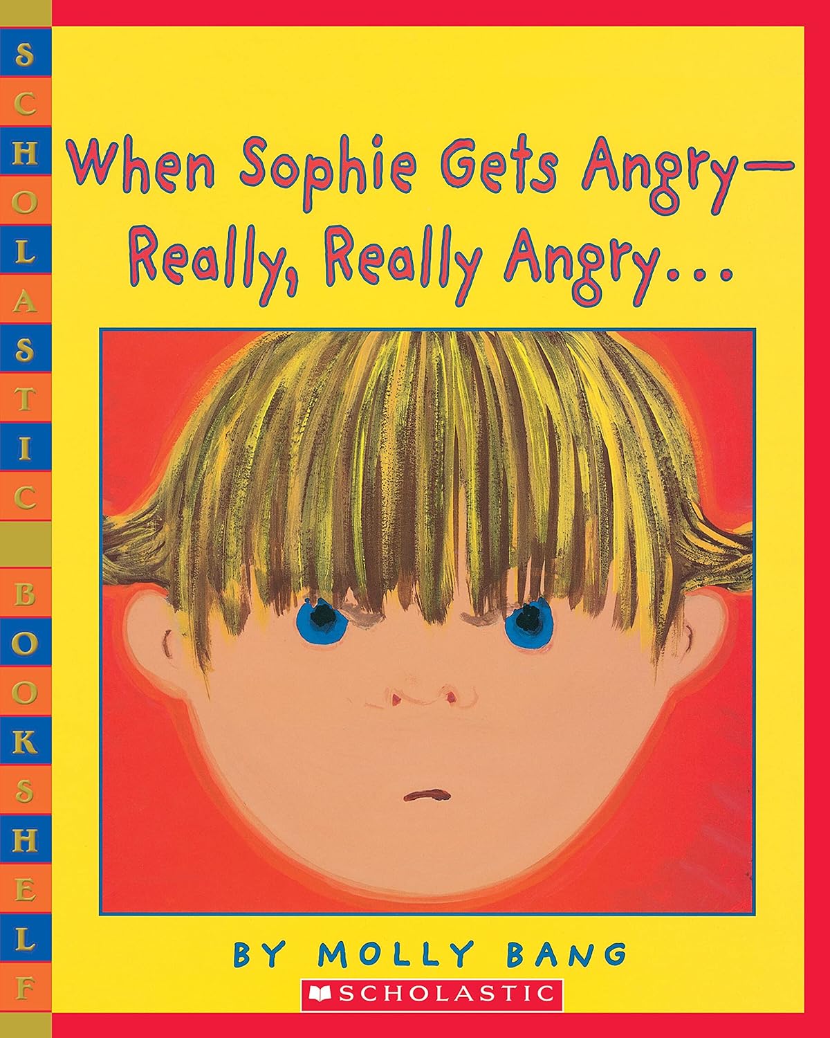 When Sophie Gets Angry — Really, Really Angry Reading Level: A Complete Guide book cover