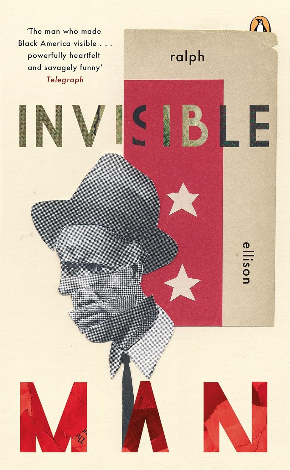 The Invisible Man Reading Level: A Complete Guide book cover