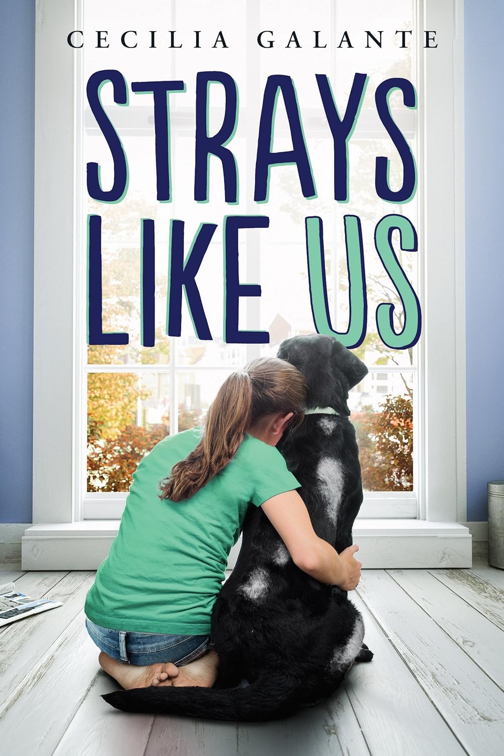 Strays Like Us Reading Level: A Complete Guide book cover