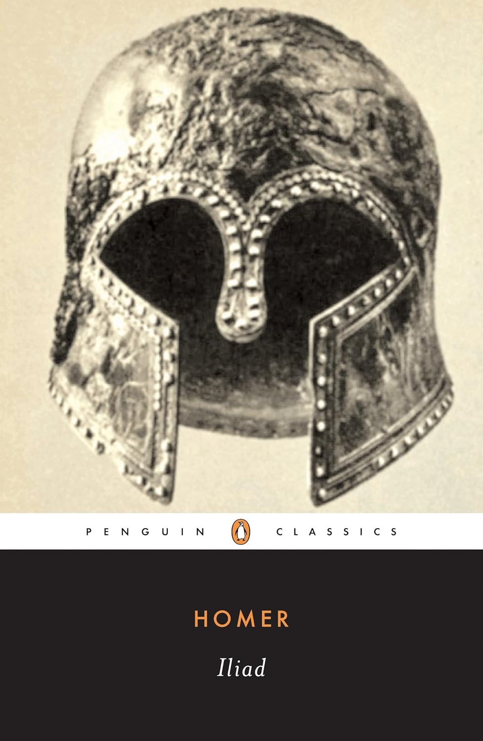 The Iliad Reading Level: A Complete Guide book cover